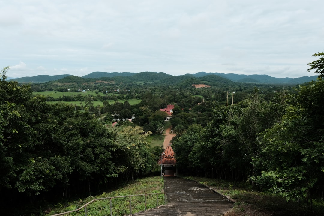 a-train-traveling-through-a-lush-green-countryside-vii-6ssfyxm